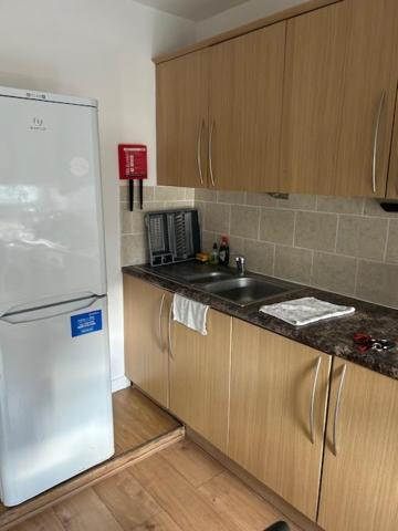 Shoreditch Hoxton Large 3 Bed Garden Flat Free Parking Aor Only Лондон Екстер'єр фото